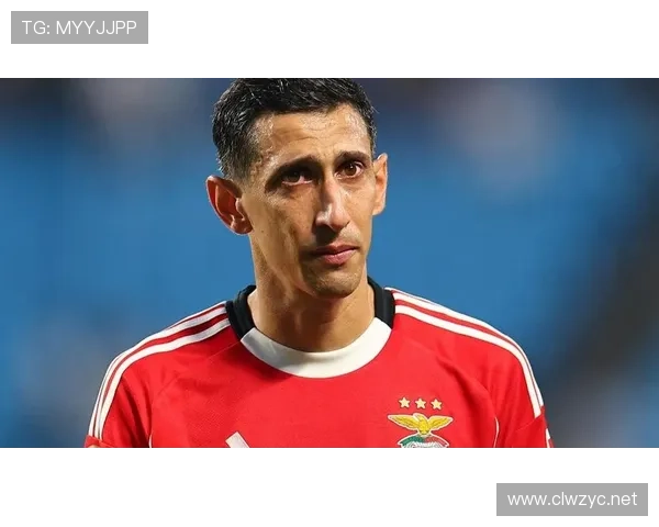 帕尔默 vs 迪马利亚:左脚技术细节与实战运用对比