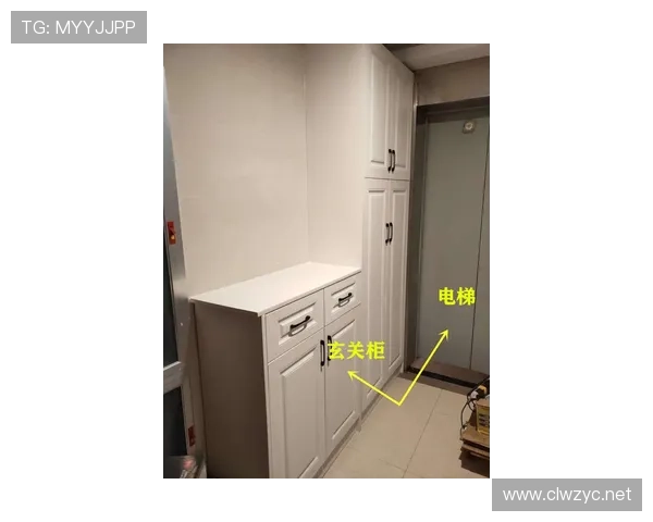 迪巴拉吧，别跟普通人比生活，光鞋柜的鞋都能开个小店了吧？